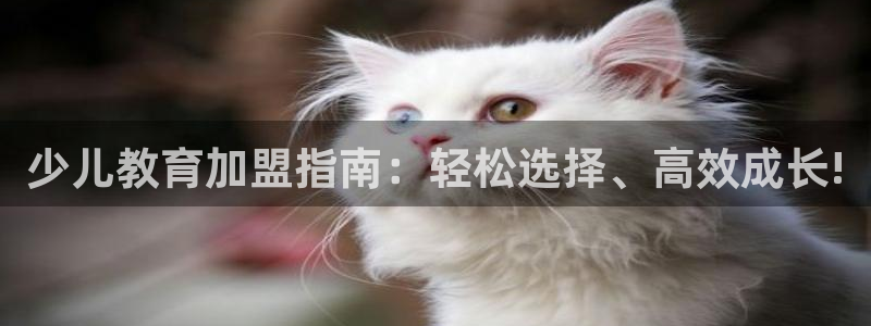 鸿运平台代理台