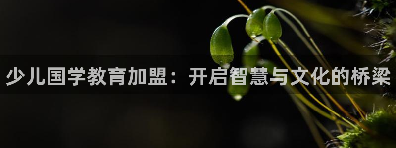 苏州鸿运阁直播平台