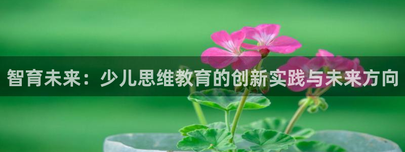 鸿运平台注册流程视频