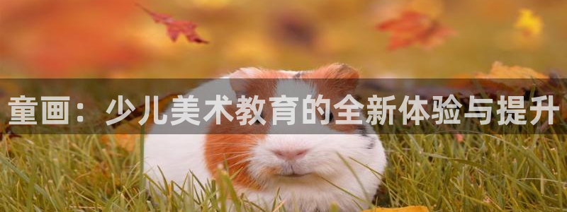 鸿运国际平台台