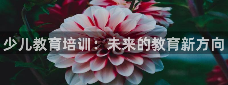 鸿运平台是大平台