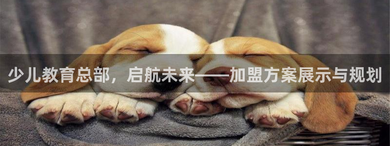 国际鸿运手机版平台