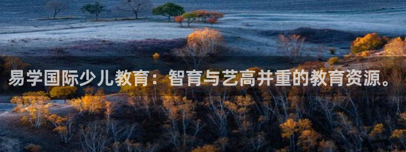 手机版鸿运平台