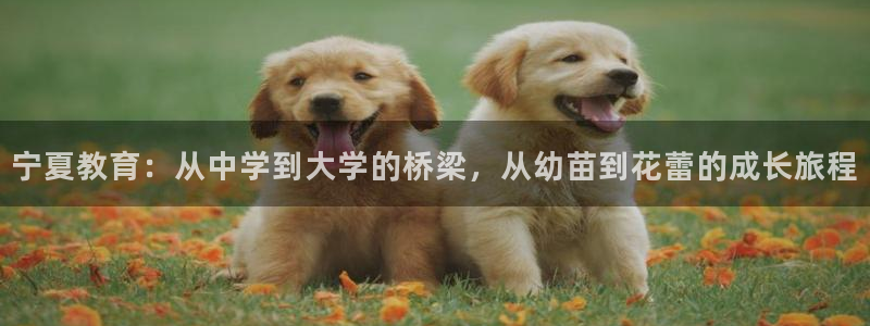 鸿运集团平台招聘要求