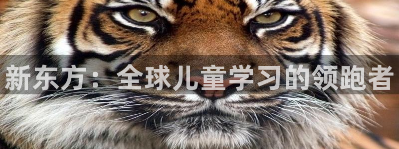 鸿运商城珠宝平台