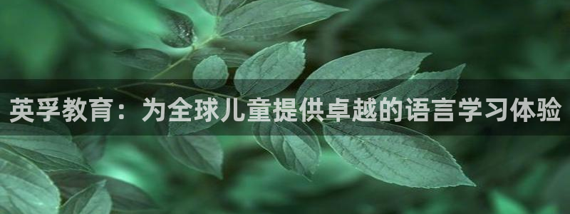 鸿运来是什么平台