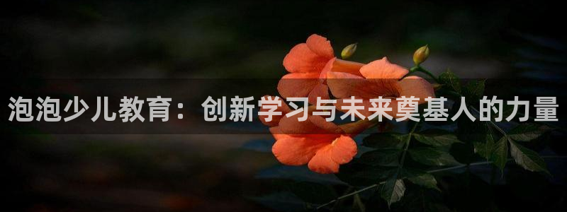 鸿运当头网贷平台