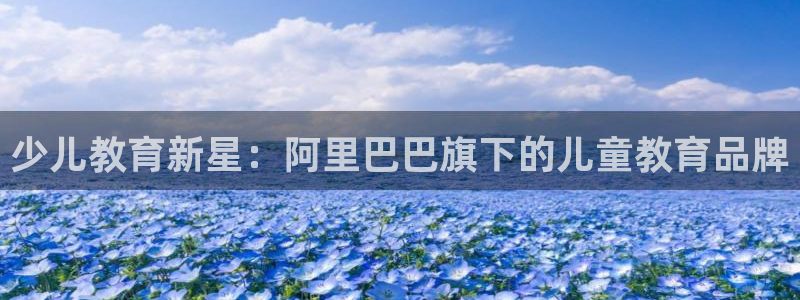 鸿运投资平台是什么平台