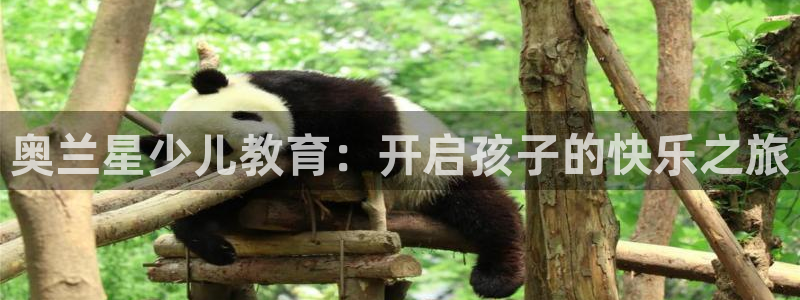 琥珀鸿运平台理财