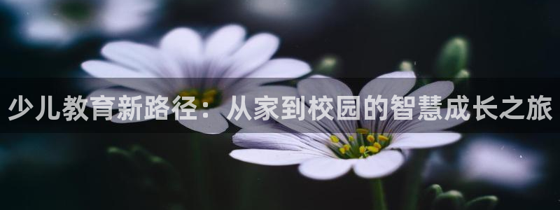 鸿运最新平台叫什么