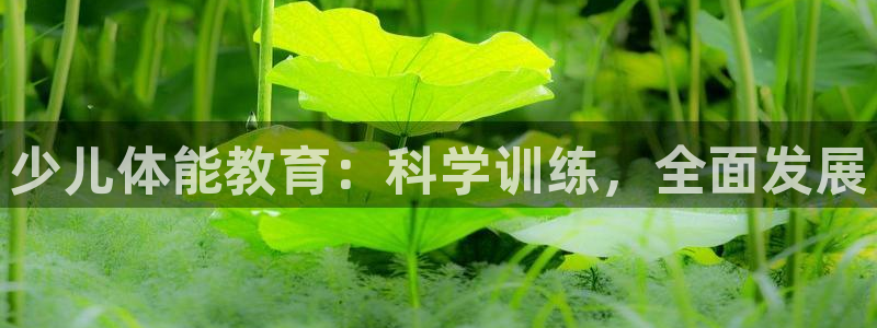 鸿运彩票平台的网址