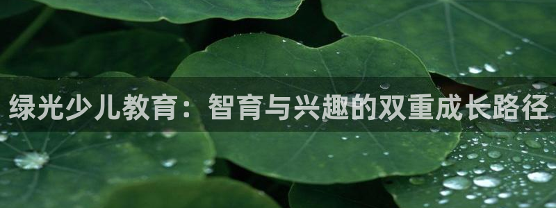 鸿运通平台可靠吗