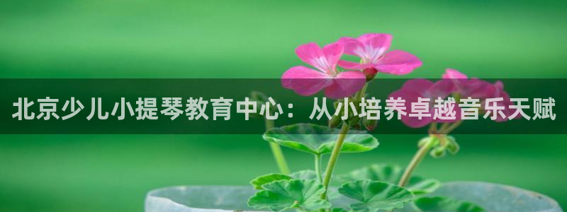 鸿运彩票app平台