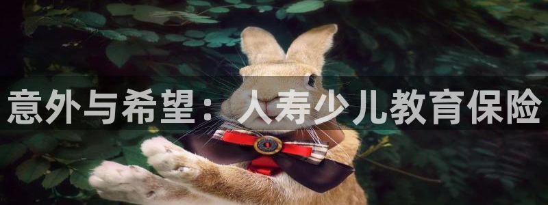 鸿运手机团购平台