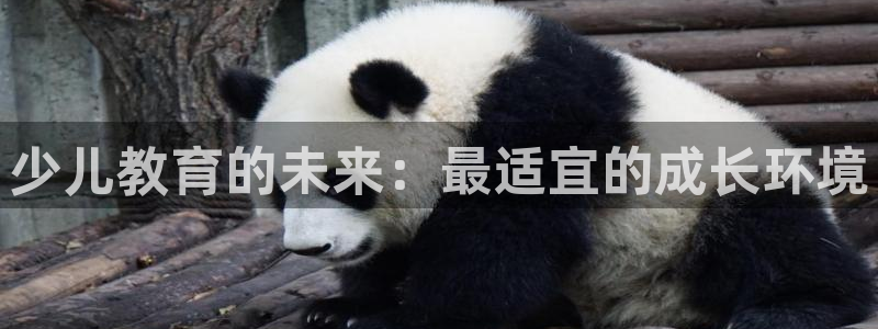 鸿运合拍是什么平台