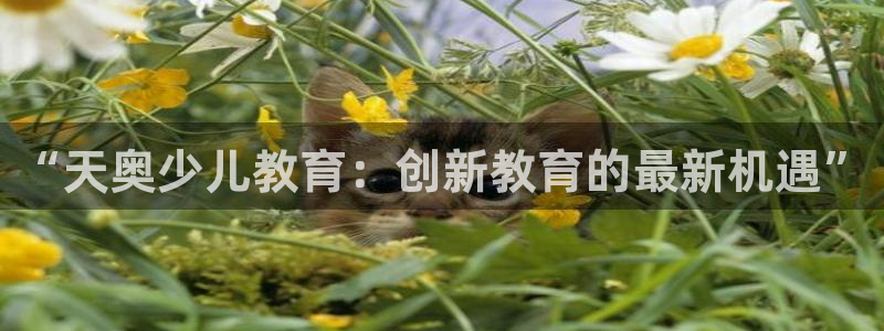 新鸿运娱乐平台