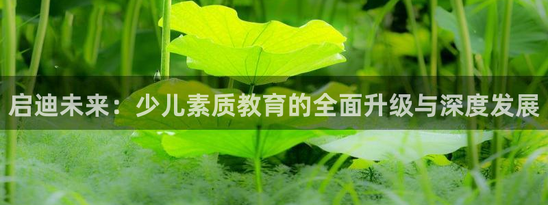 鸿运市场直播平台