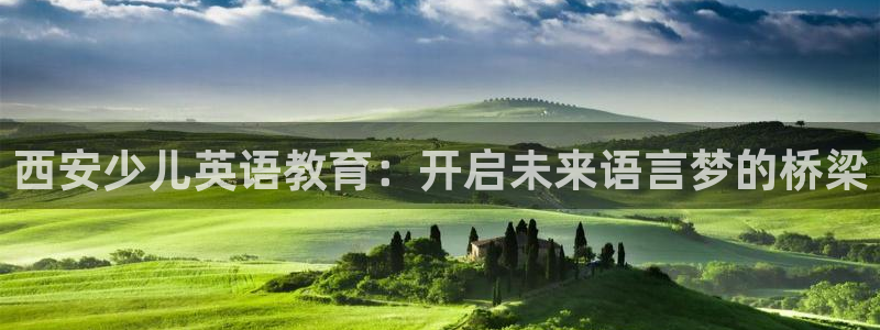 鸿运牛骨服务平台