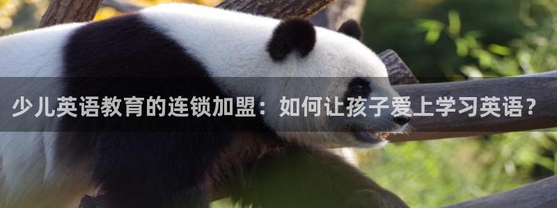 鸿运牛蹄团购平台