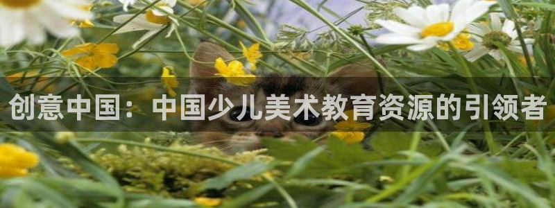 下载app鸿运平台