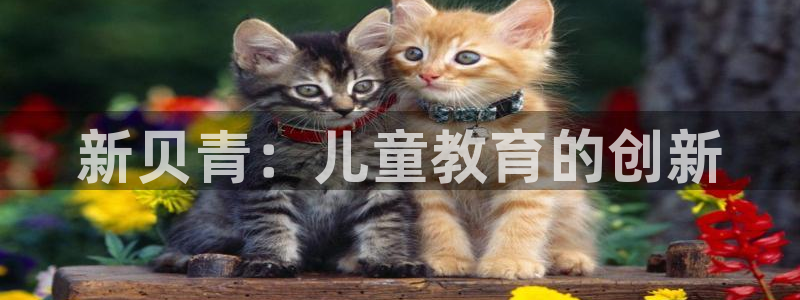 苏州鸿运阁直播平台