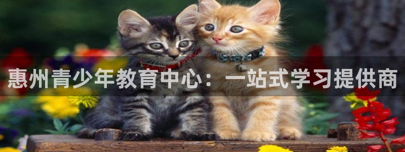 鸿运团队推广平台