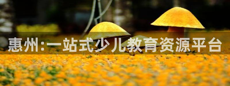 鸿运茶销售平台