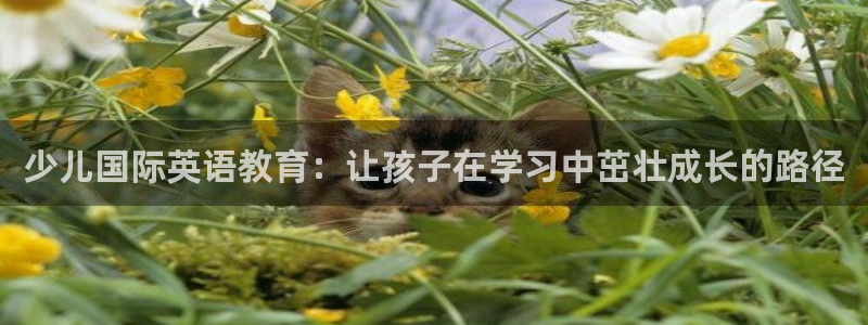 鸿运彩票专业平台