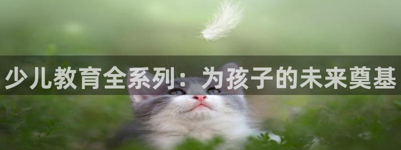鸿运购彩专业平台