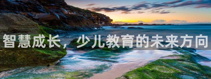 鸿运是什么平台
