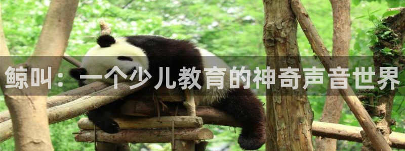 鸿运推广平台