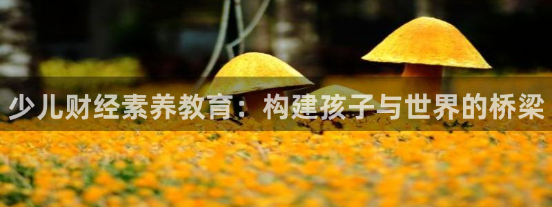 鸿运公益平台