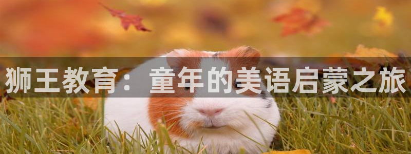 鸿运信投是平台
