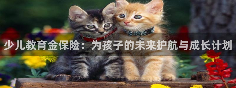 鸿运策略股票平台