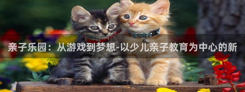 鸿运平台注册流程视频