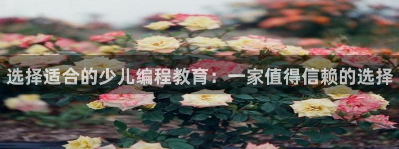 鸿运平台娱乐