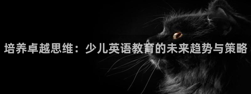 国际鸿运手机版平台