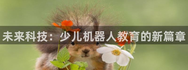 鸿运信任平台