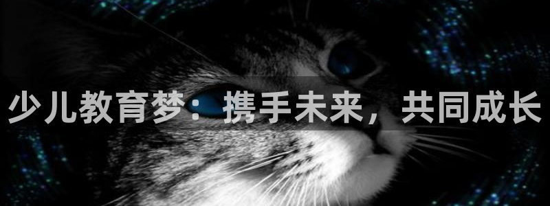 铜陵鸿运拍卖平台